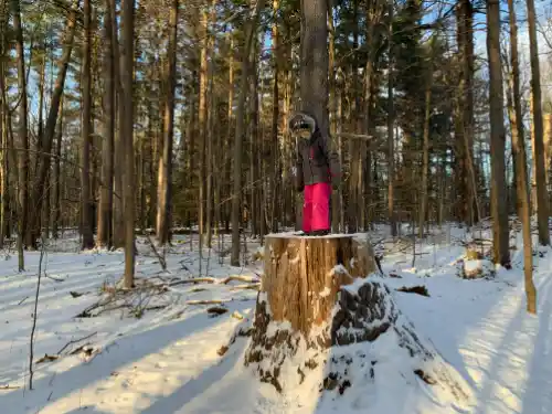 Child stands on large tree stump in wintery forest