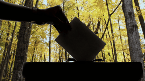 Voter card held above ballot box in forest setting